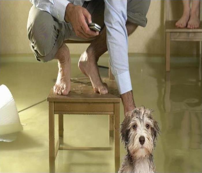floor flooded. man standing on chair petting dog